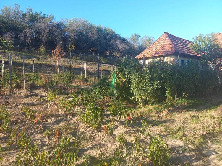 Casă cu 2 camere decomandat în Henig