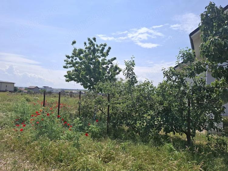Teren de 5000 mp, în Lazu