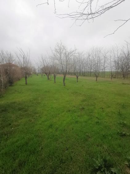 Teren Construcții intravilan de 4350 mp, în Techirghiol