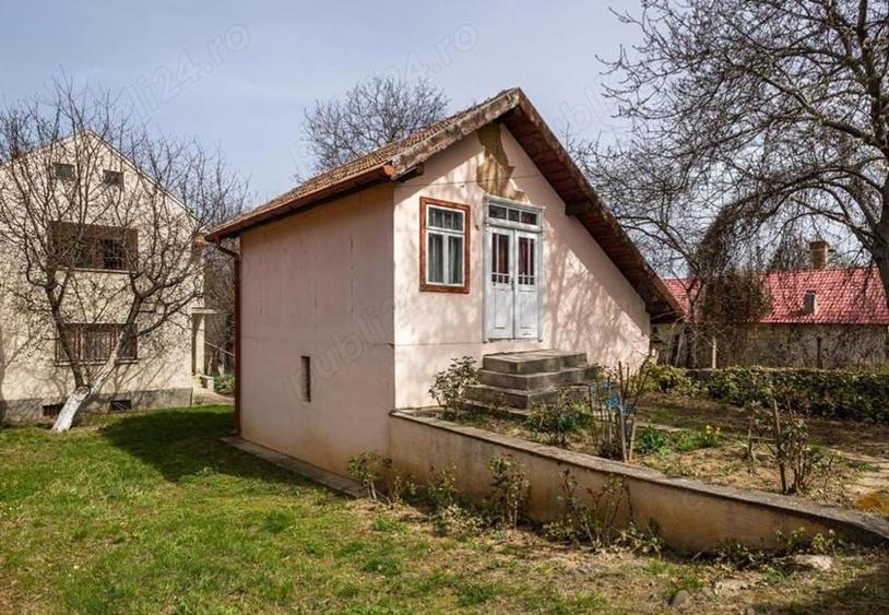 Casă cu 3 camere cu Teren 3800 Mp în Viperești