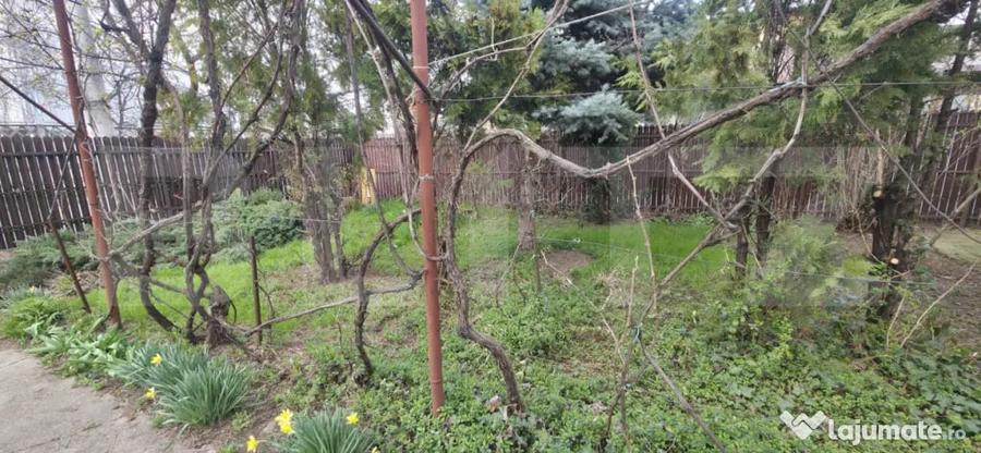 Casă cu 3 camere cu Teren 400 Mp în Central