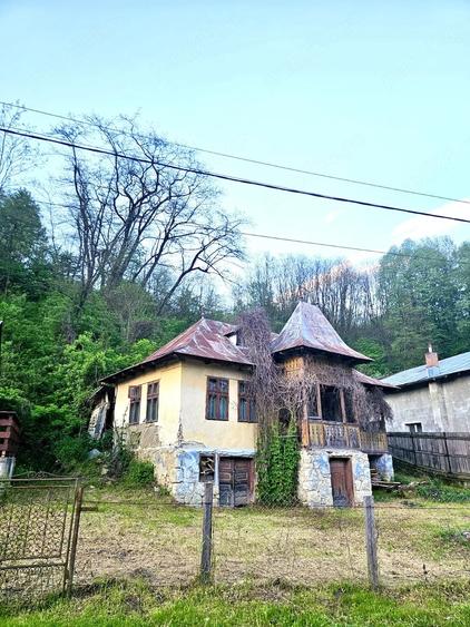 Teren Provita de Jos Prahova - 3