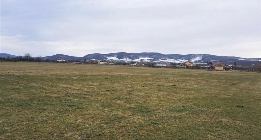 Teren agricol extravilan de 7200 mp, în Exterior Sud