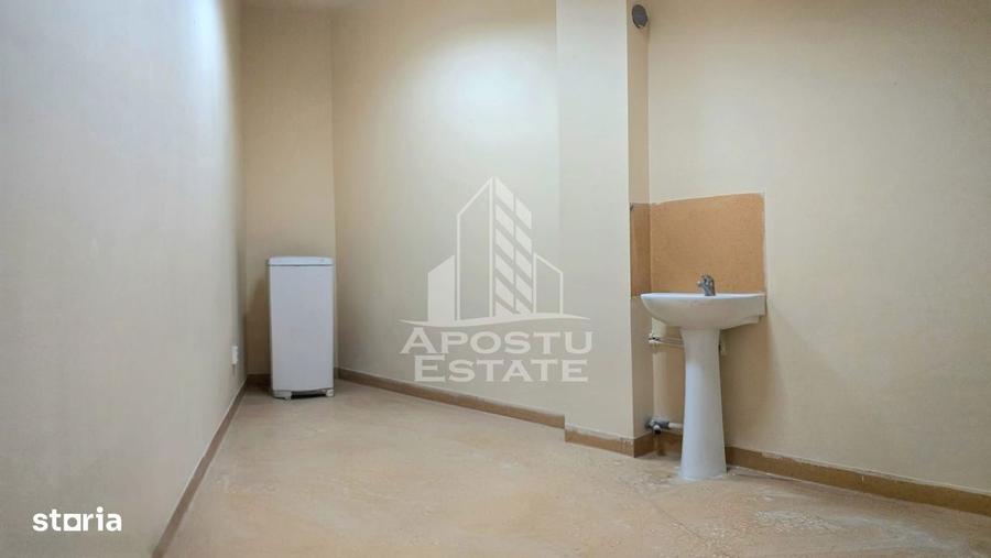 Spațiu comercial, de 250 mp, în Iosefin