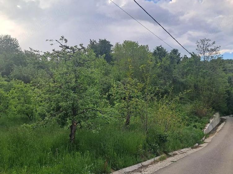 Teren de 4034 mp, în Văleni-Dâmbovița