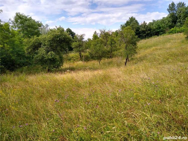 Teren de 4700 mp, în Romos