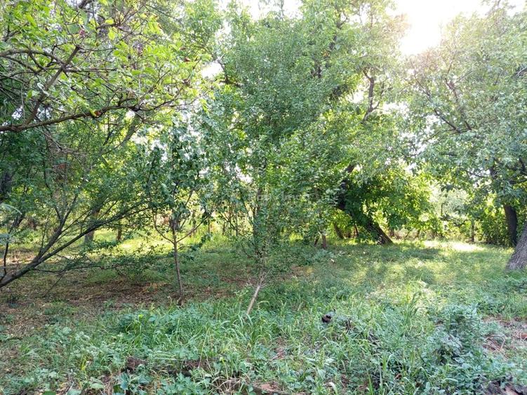 Casă cu Teren 1151 Mp în Ciuchici