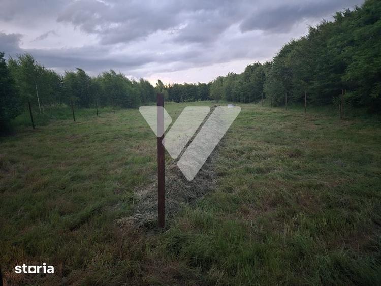 Teren de 2000 mp, în Porumbacu de Jos