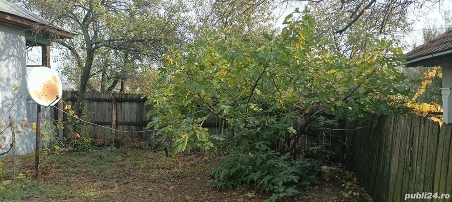 Casă cu 3 camere cu Teren 2493 Mp în Pădina