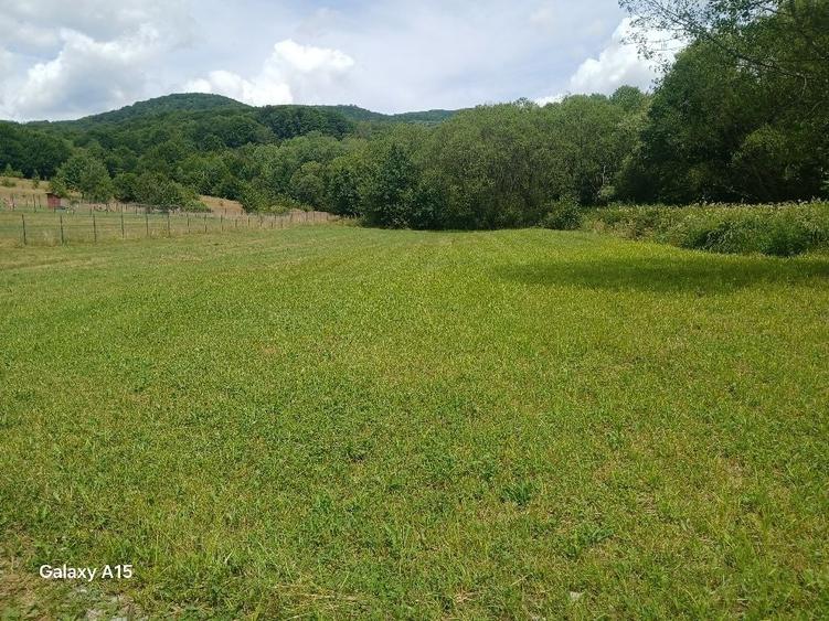 Teren de 1500 mp, în Săcădat