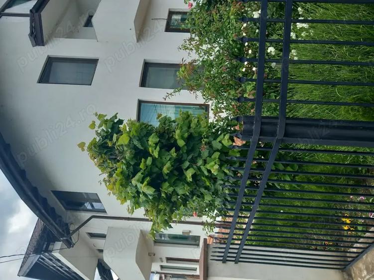 Casă cu 6 camere cu Teren 500 Mp în Vălenii de Munte