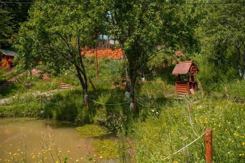 Casă cu 2 camere în Pleși