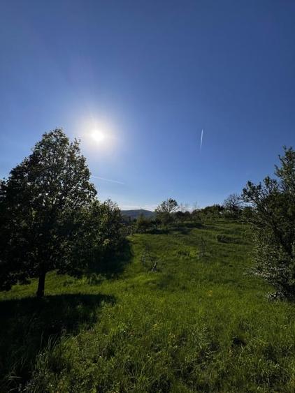 Teren intravilan de 4134 mp, în Central