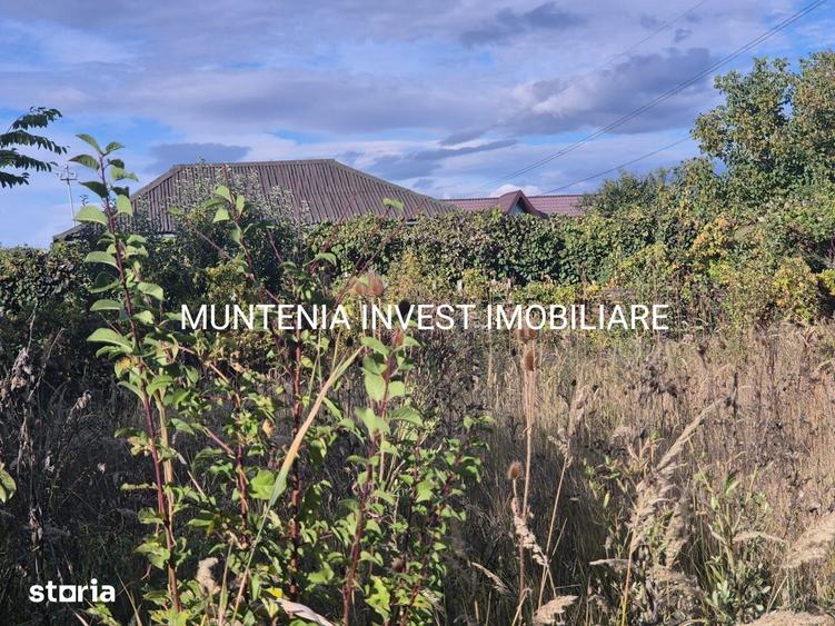 Teren de 2543 mp, în Călinești