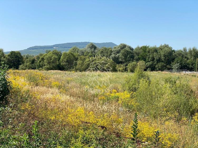 Teren agricol extravilan de 4100 mp, în Nord