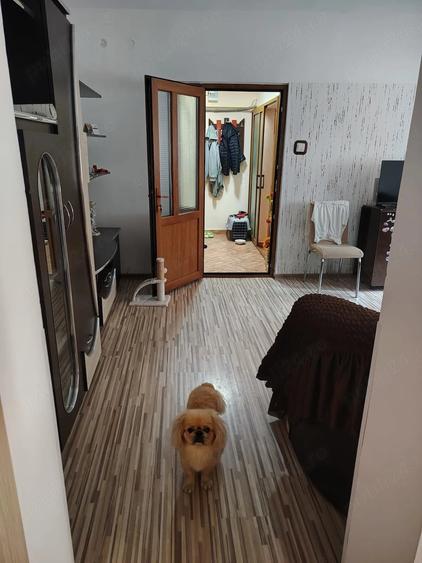 Apartament cu 2 camere semidecomandat în Berca