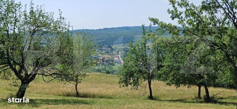 Teren extravilan de 1000 mp, situat pe strada Ghinzii - 8