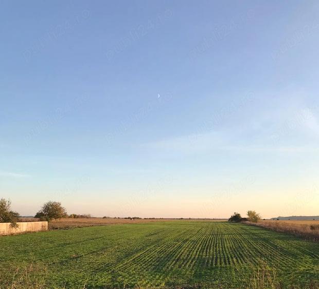 Teren de 1200 mp, în Samurcași