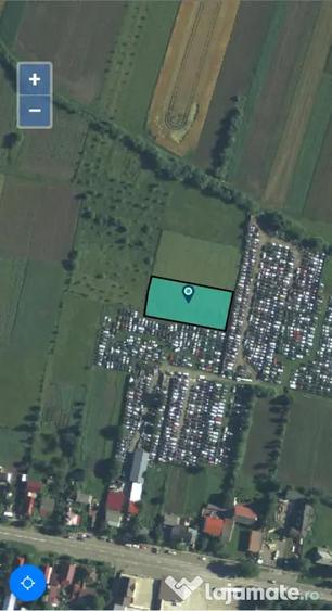 Teren de vanzare 1800mp Sasca Noua - 1