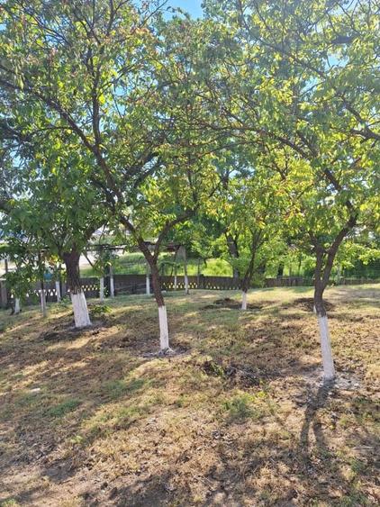 Casă individuală cu 3 camere cu Teren 1686 Mp în Sud-Est