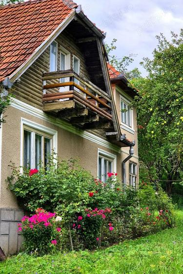 Teren de 4000 mp, în Bran
