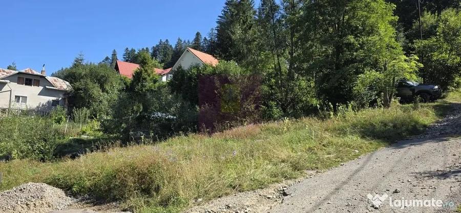 Teren în Zamora
