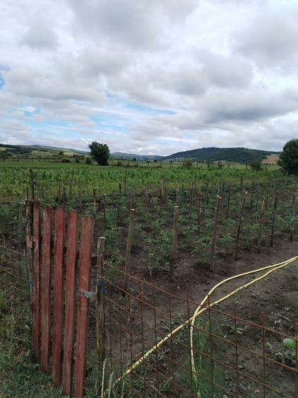 Casă cu 3 camere în Lechincioara