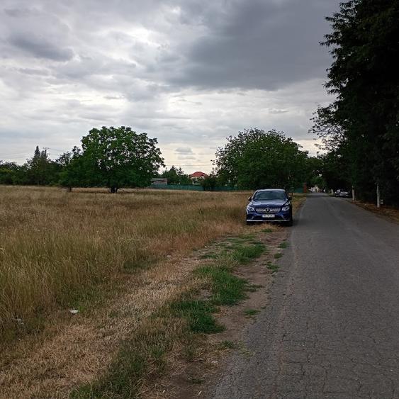 Teren Construcții intravilan de 4990 mp, în Torontalului