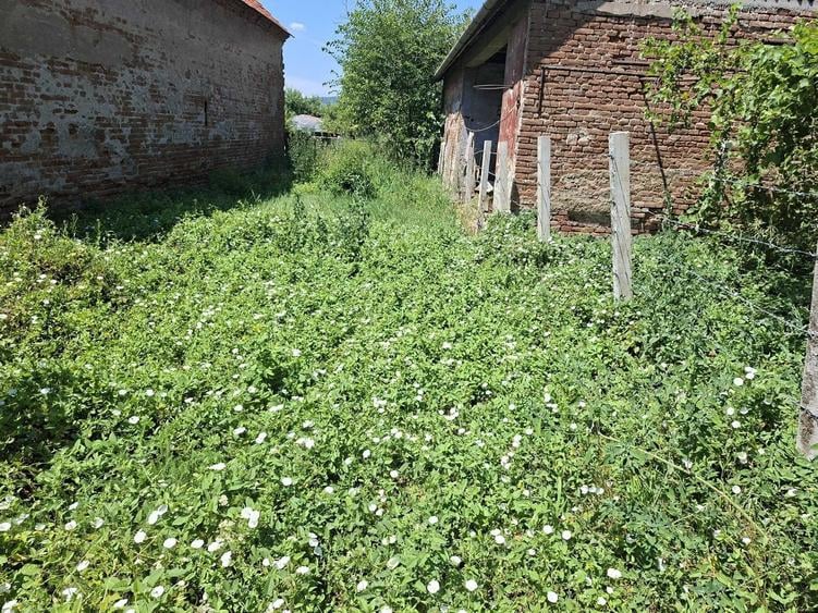 Casă cu 4 camere în Sântuhalm