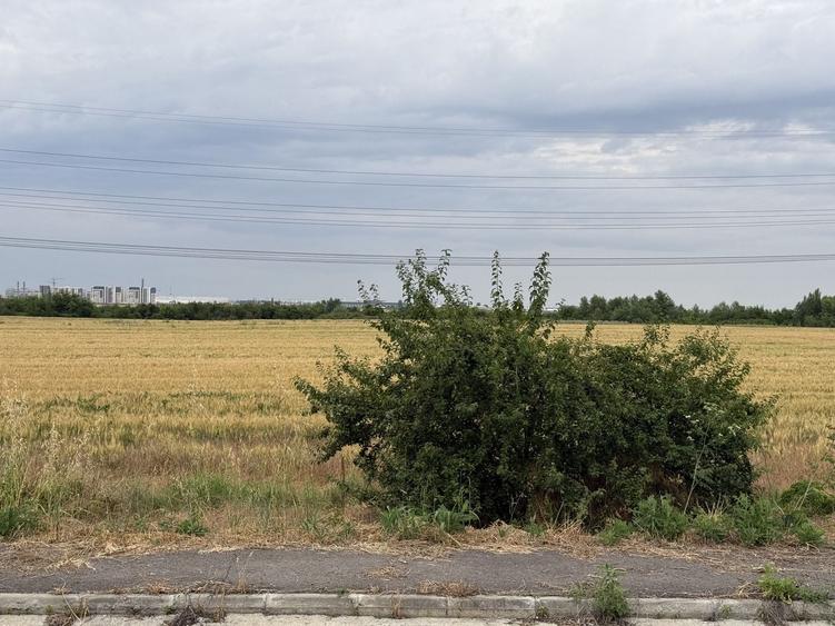 Teren Construcții intravilan de 2500 mp, în Jilava