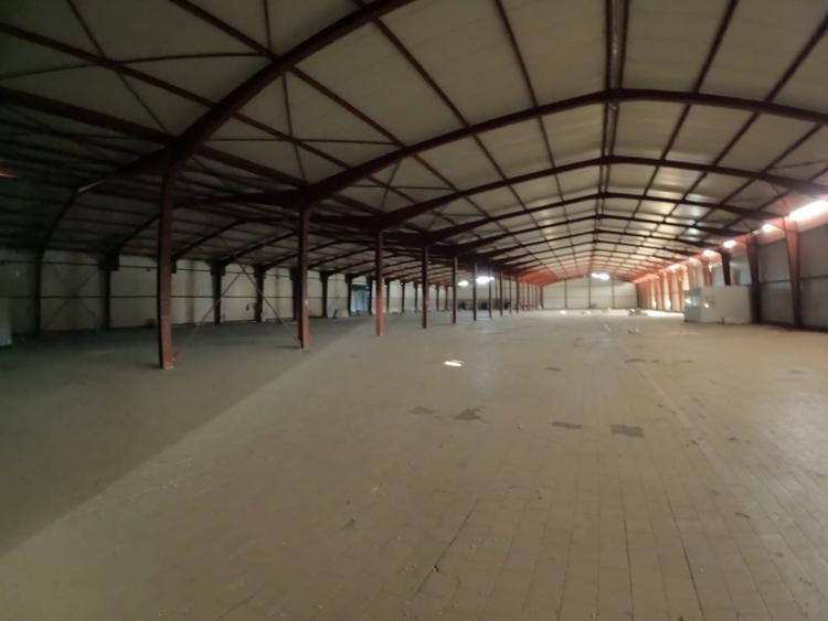 Spațiu industrial, de 11,600 mp, în Plopșoru