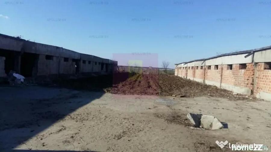 Teren Balotesti- Saftica- ideal pentru constructie locuinte. - 5