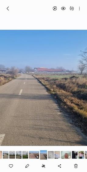 Teren agricol intravilan de 8000 mp, în Dărăști-Vlașca