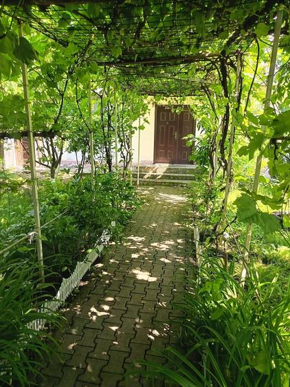 Apartament cu 2 camere decomandat în Galata