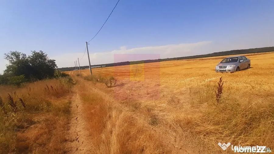 Teren de 2000 mp, în Brănești