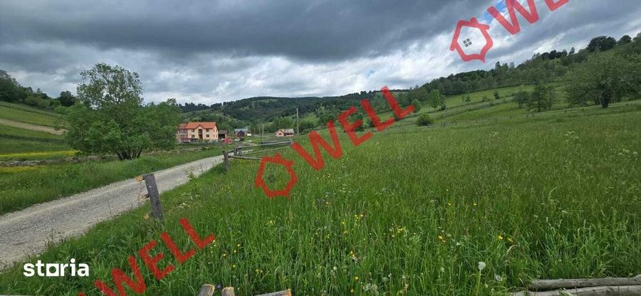 Teren de 3200 mp, în Barcani