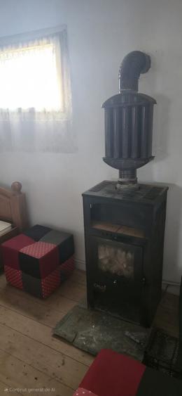 Casa de vanzare in Sanduleni - 1