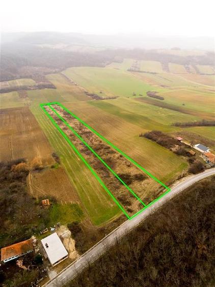 Teren Construcții intravilan de 13041 mp, în Burzuc