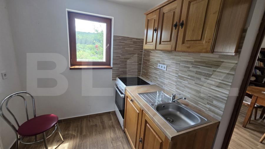 Casa ?i livada de vanzare, 150 mp, zona Grebeni?u de C? - 14