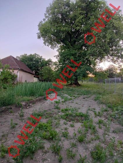 Teren Construcții intravilan de 1800 mp, în Calnic