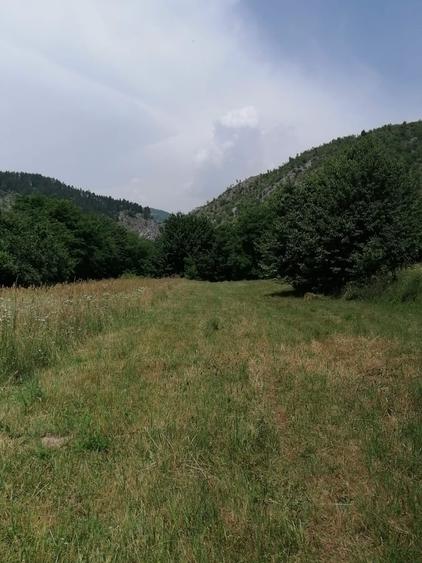 Teren în Central