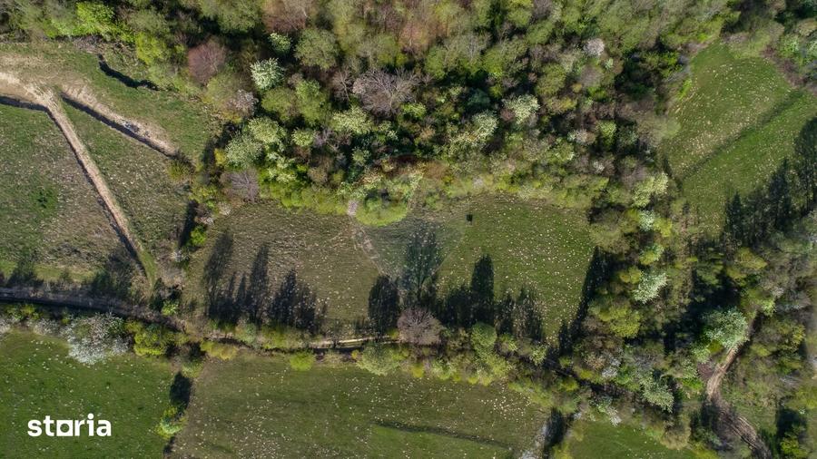 Teren de 6800 mp, în Tohănița