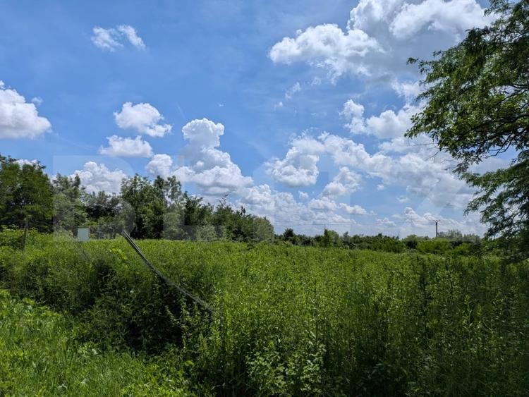 Teren agricol extravilan de 12700 mp, în Priseaca