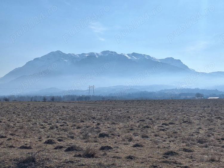 Teren de 5800 mp, în Central