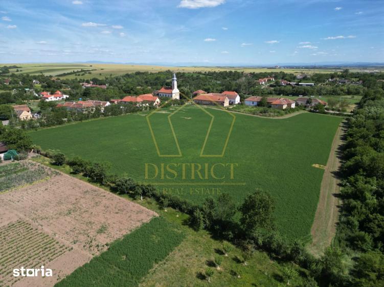 Teren de 16716 mp, în Traian Vuia
