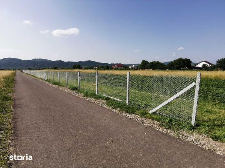 Teren de 1500 mp, în Bocicoiu Mare