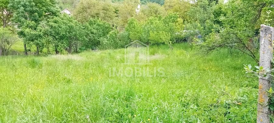Teren Construcții intravilan de 994 mp, în Budiu Mic