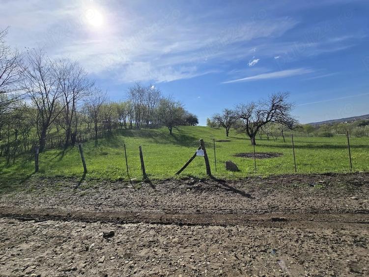 Teren extravilan 2500 mp Izvoarele Jud . Prahova - 1