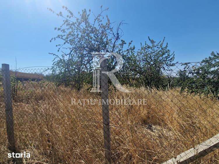 Teren de 1000 mp, în Paleu