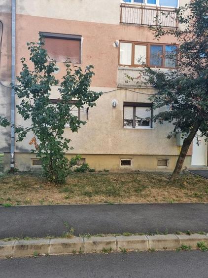Apartament cu 3 camere decomandat în Carpați 2